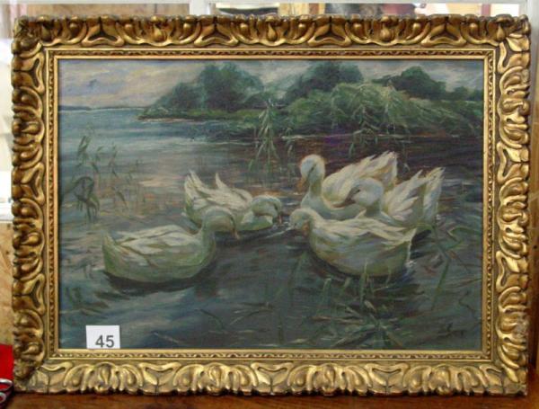 Stodola.cz - Ducks on the pond