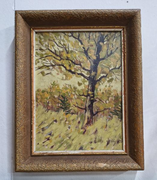 Stodola.cz - Podzimní strom